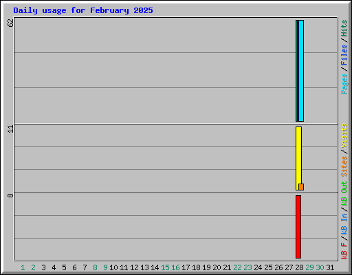 Daily usage for February 2025