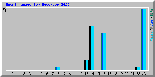 Hourly usage for December 2025