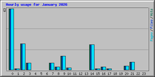 Hourly usage for January 2026